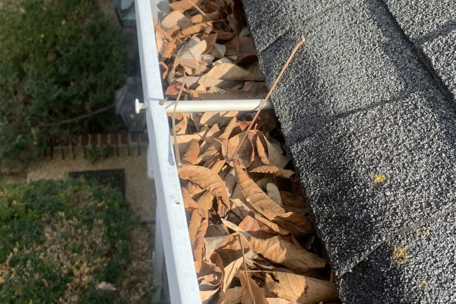 Gutter Cleaning Bal Harbour FL